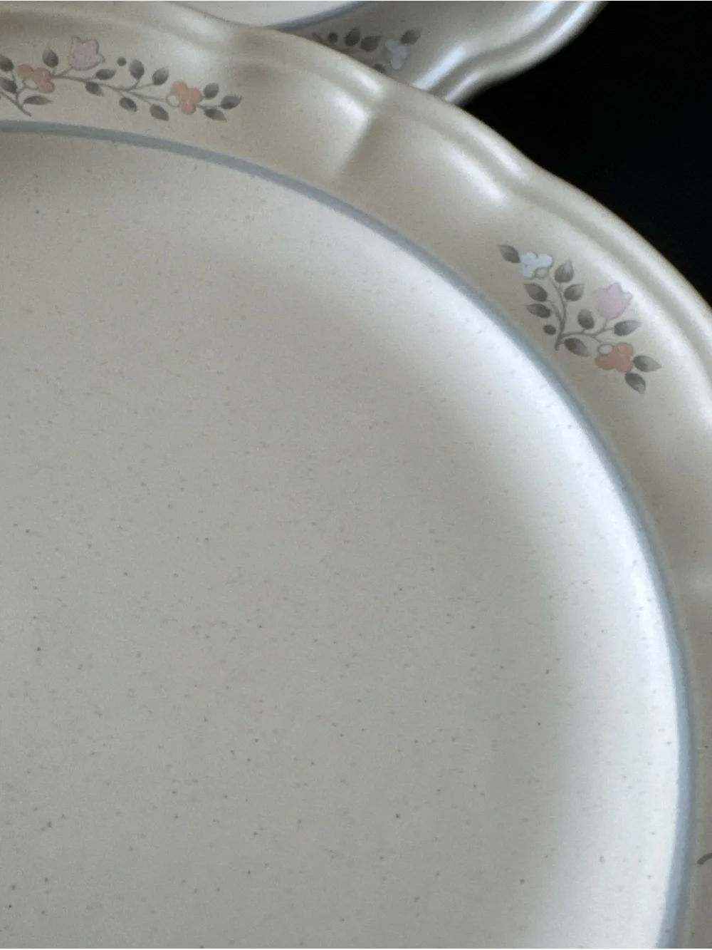 Pfaltzgraff Remembrance USA Stoneware 10.25